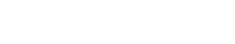 IT VALUES_logo