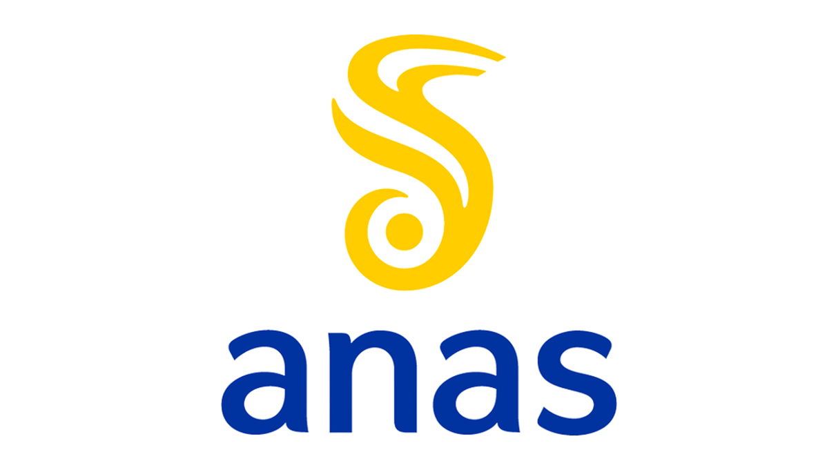 [Cards]_[Logo]_[ANAS]