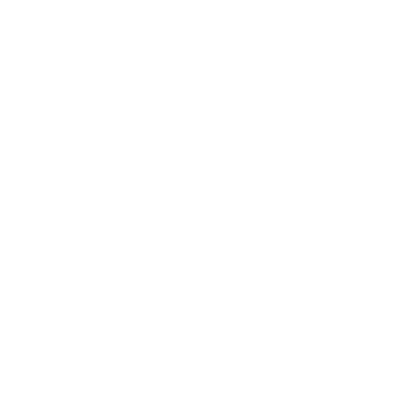 AVIO_LOGO
