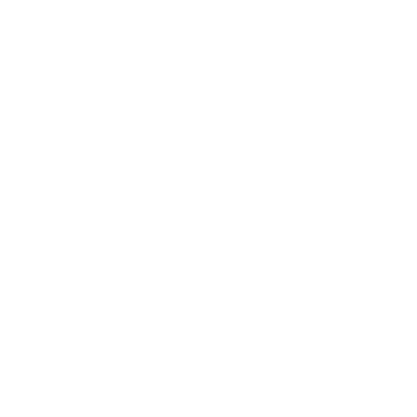 CAPRI_LOGO