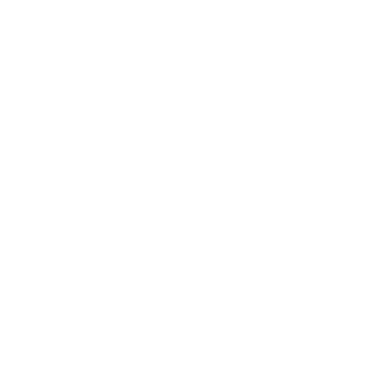 IRIS_LOGO