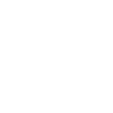 PILOT3_LOGO