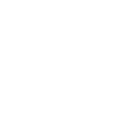 SYNERGIES_LOGO