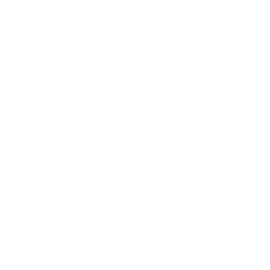 VISORS_LOGO