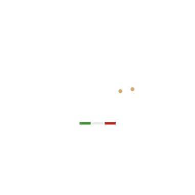 logofindmii_rev